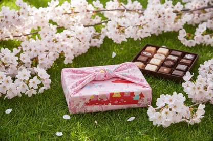 Furoshiki chocolats sur pelouse avec sakura